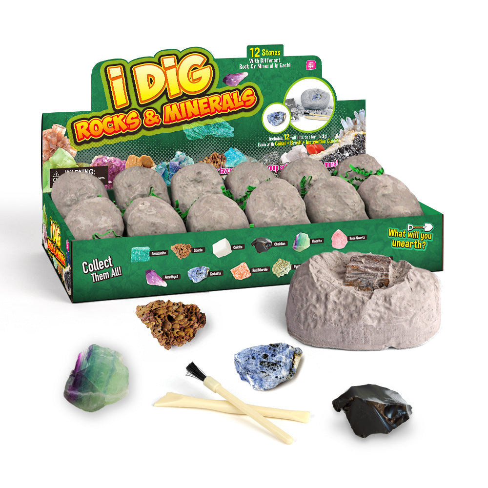 Dig Kit Archaeology Science Stem Gift 12pcs Model Educational Toy Gift for Kids