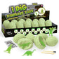 Dig Kit Archaeology Science Stem Gift 12pcs Model Educational Toy Gift for Kids
